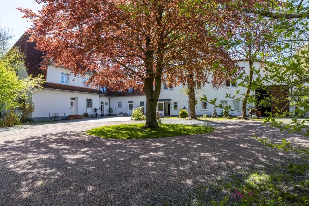 Denkerhof Apartment Bergkristall Reußenköge المظهر الخارجي الصورة